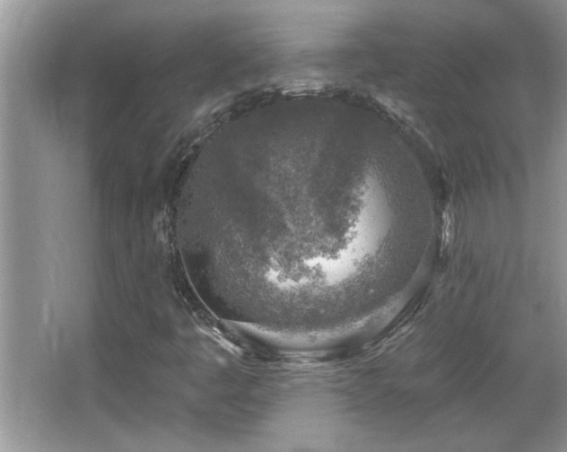 X0000065971445200603031116