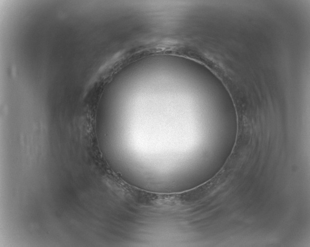 X0000065971447200603031116