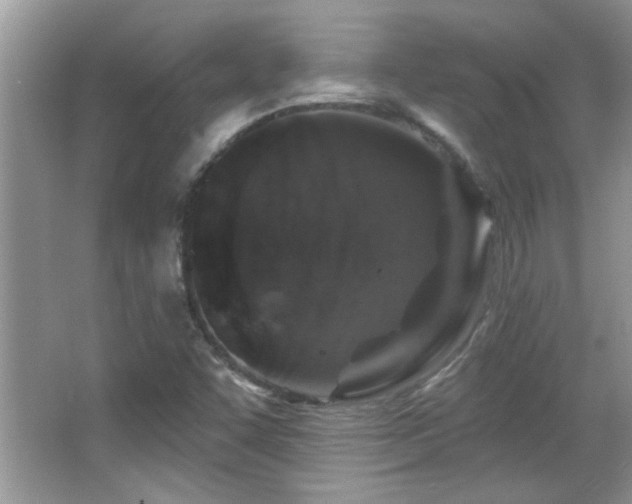 X0000065971455200603031116