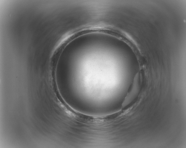 X0000065971456200603031116