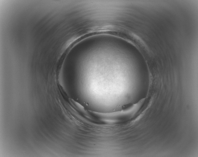 X0000065971457200603031116