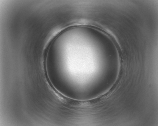 X0000065971464200603031116