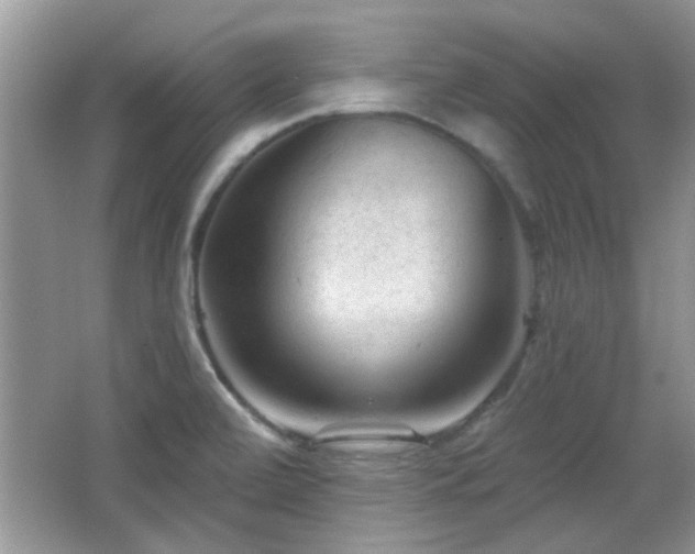 X0000065971472200603031116