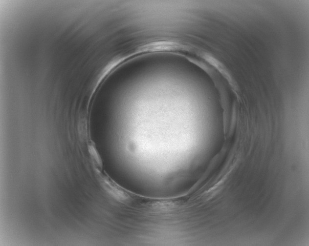 X0000065971473200603031116