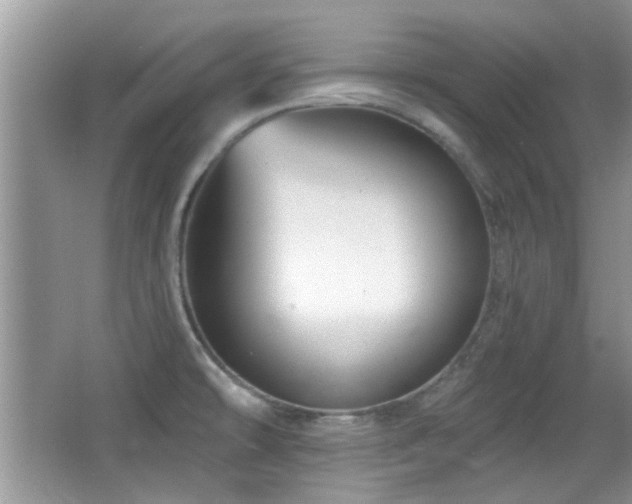 X0000065971478200603031116
