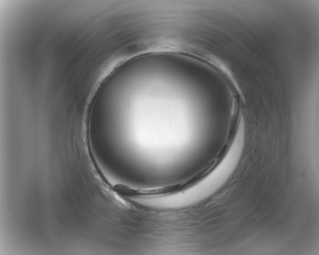X0000065971480200603031115