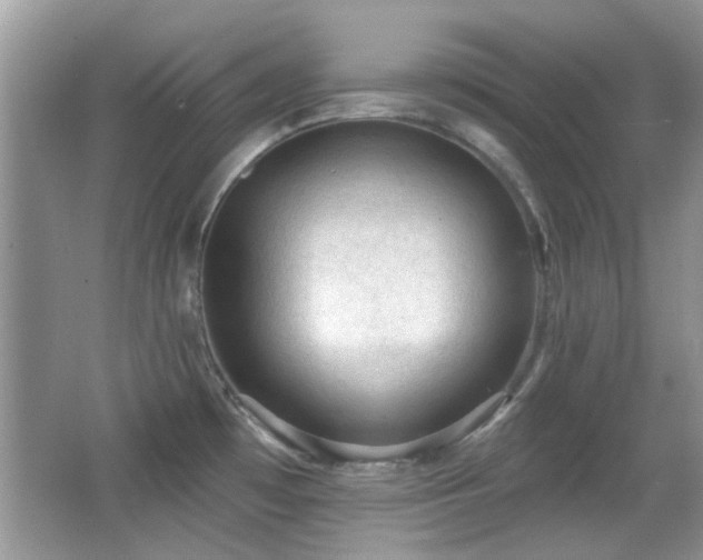X0000065971481200603031115