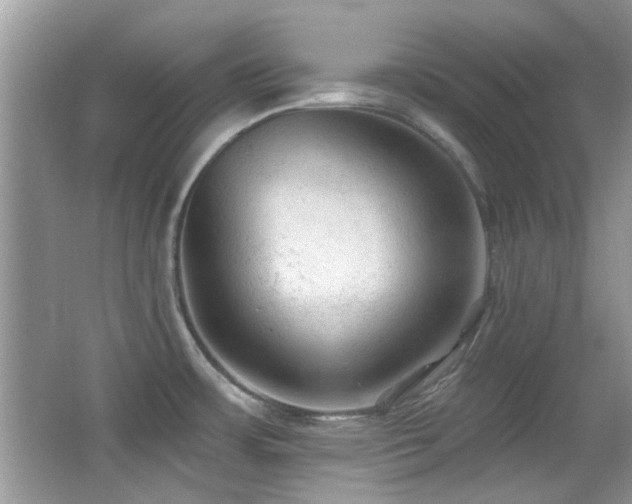 X0000065971483200603031115