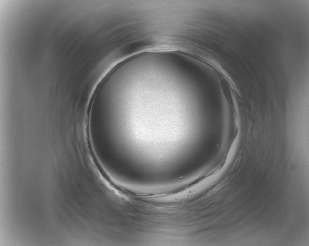 X0000065971484200603031115