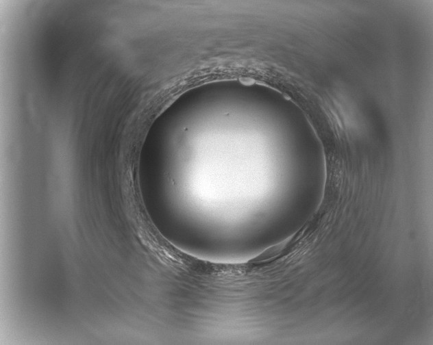 X0000065971489200603031115