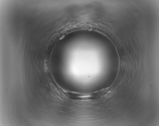 X0000065971490200603031115