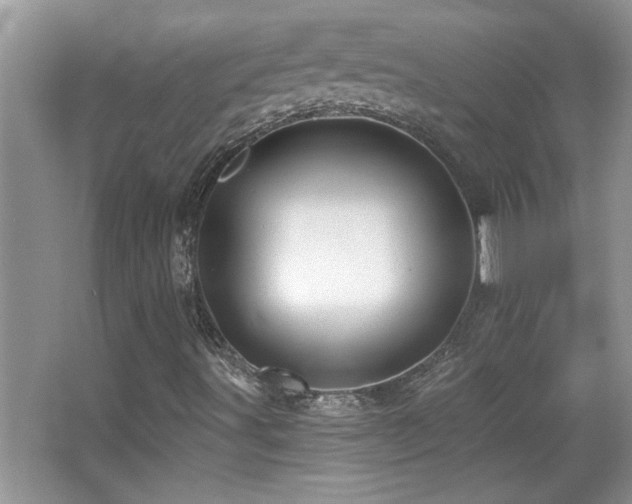 X0000065971491200603031115