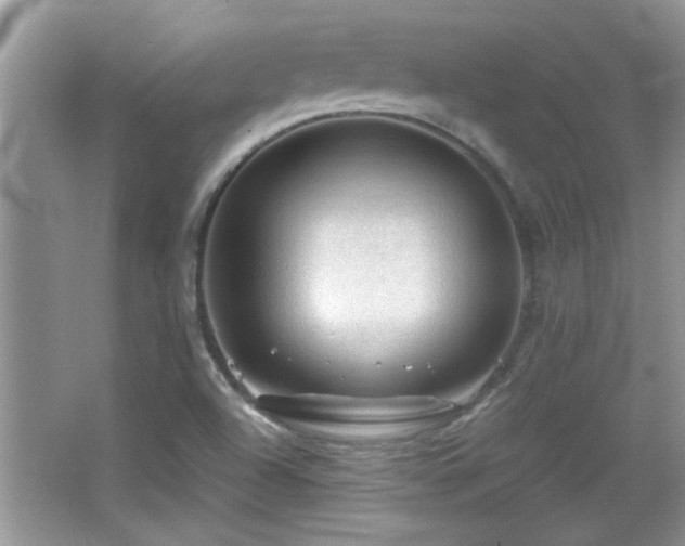 X0000065971504200603031115