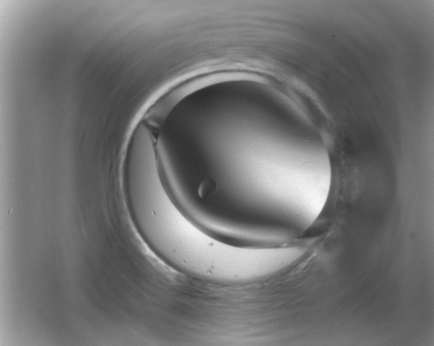 X0000065971516200603031115