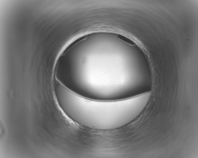 X0000065971536200603031115