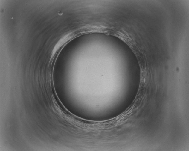 X0000065970004200603061201