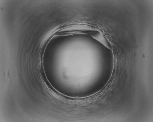 X0000065970005200603061201