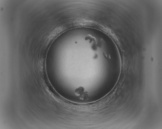 X0000065970010200603061201