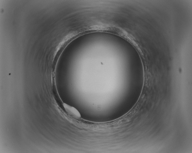 X0000065970011200603061201