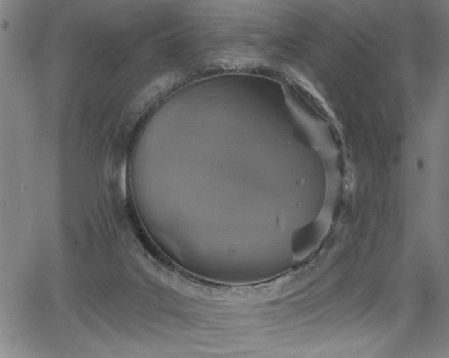 X0000065970019200603061201