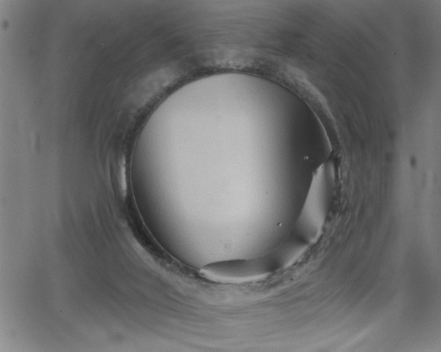 X0000065970020200603061201