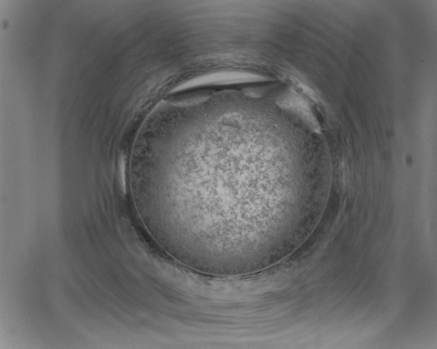 X0000065970022200603061201