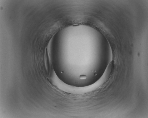 X0000065970025200603061201