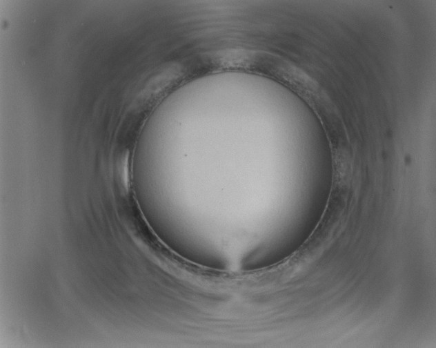 X0000065970028200603061200