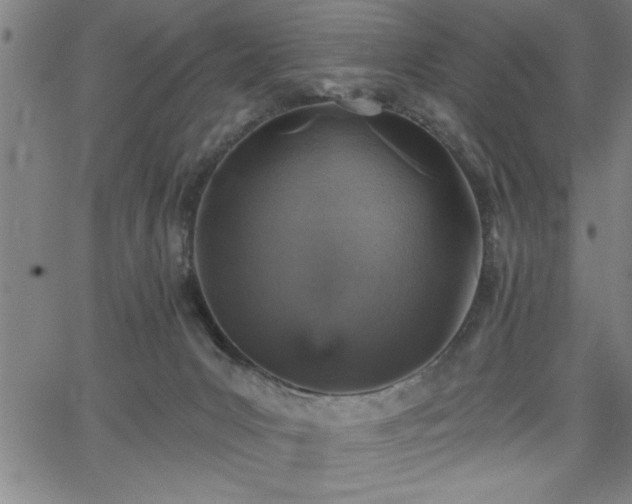 X0000065970031200603061200