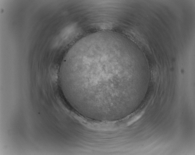 X0000065970032200603061200