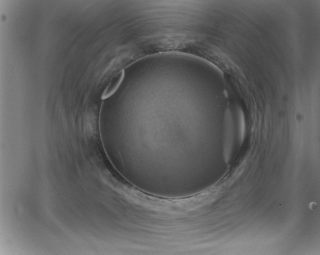 X0000065970035200603061200