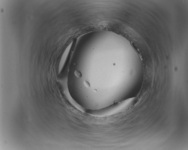 X0000065970037200603061200