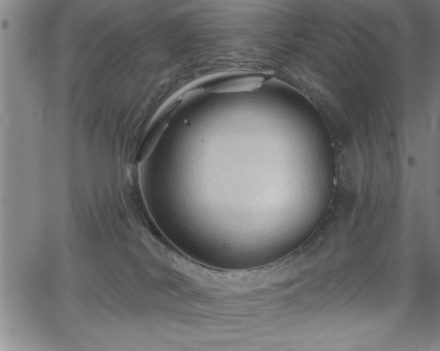 X0000065970038200603061200