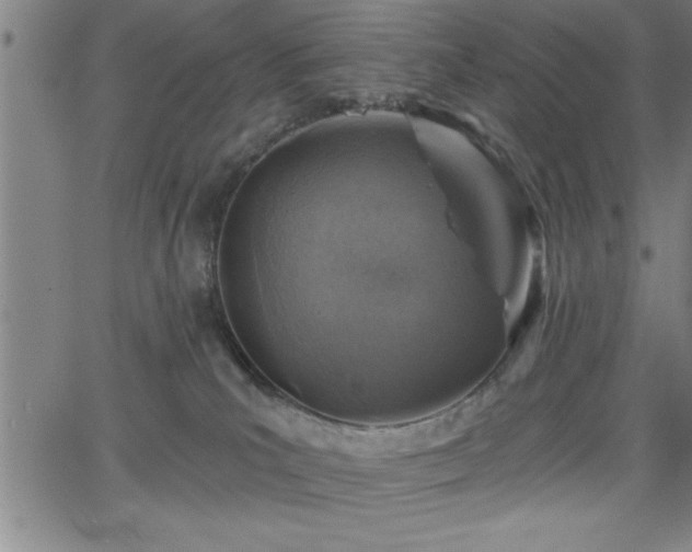 X0000065970039200603061200