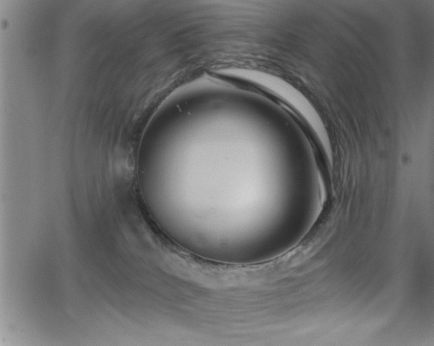 X0000065970040200603061200