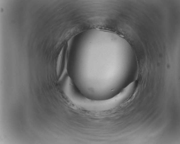 X0000065970041200603061200