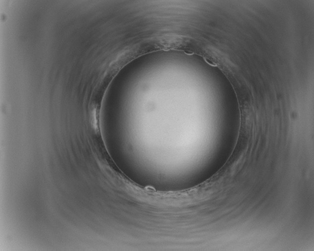 X0000065970042200603061200