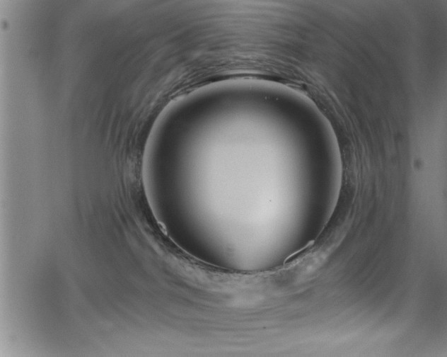 X0000065970044200603061200