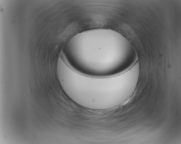 X0000065970045200603061200