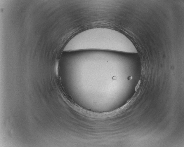 X0000065970047200603061200