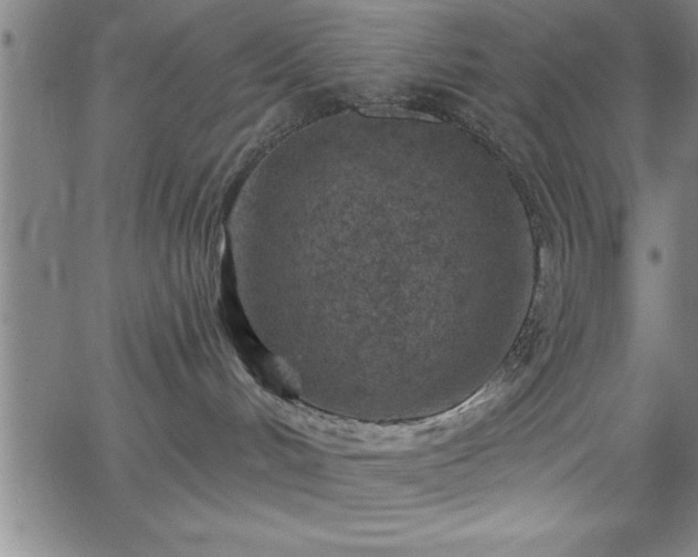 X0000065970048200603061200