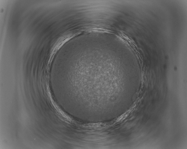 X0000065970049200603061159