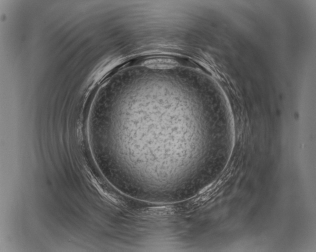 X0000065970050200603061159