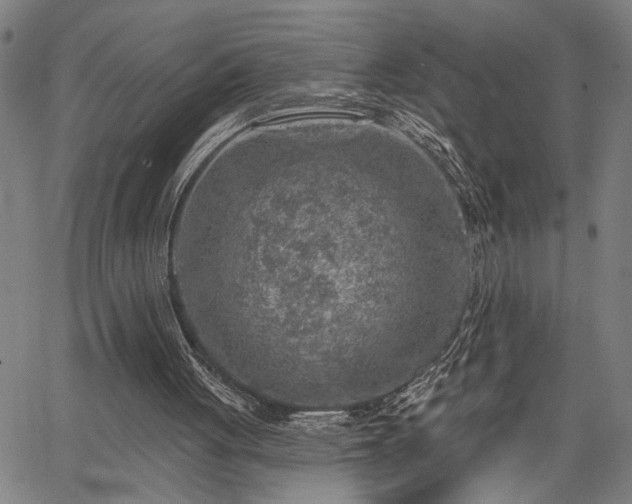 X0000065970051200603061159