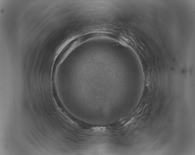 X0000065970052200603061159