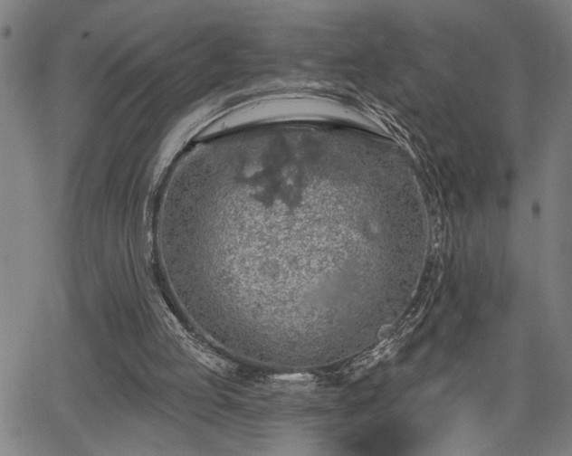 X0000065970053200603061159