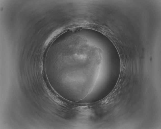 X0000065970054200603061159