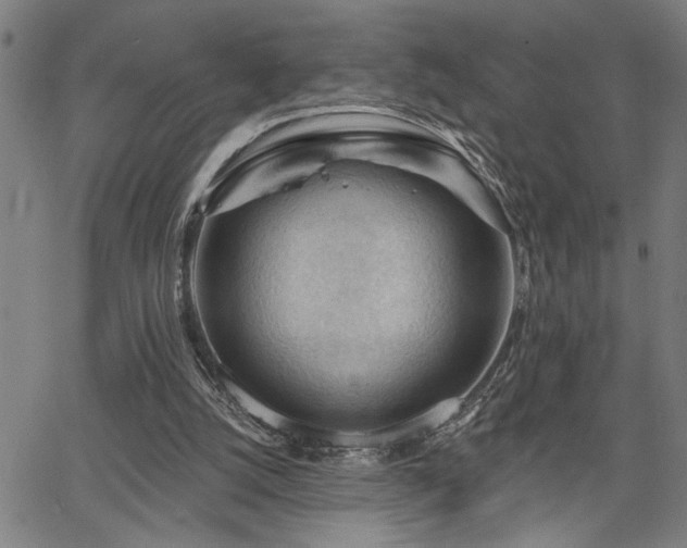 X0000065970056200603061159