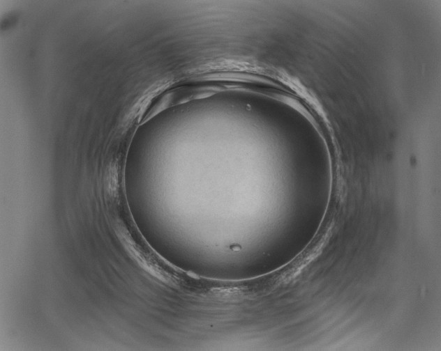 X0000065970057200603061159