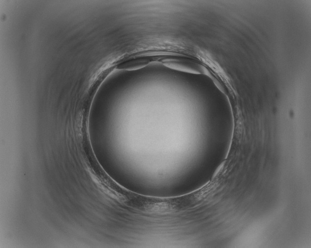 X0000065970058200603061159